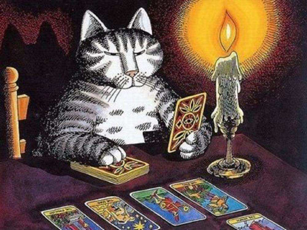 天天向上主題團(tuán)建-oh卡游戲 天天向上主題團(tuán)建-oh卡游戲